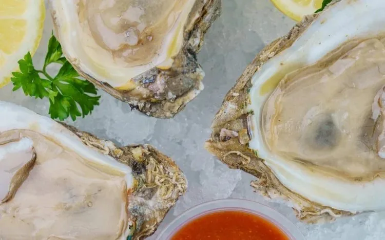 Fresh oysters on ice at St. Roch Market